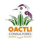 Oactli Consultores